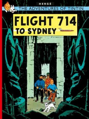 Picture of Tintin Flight 714