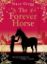 Picture of Forever Horse 