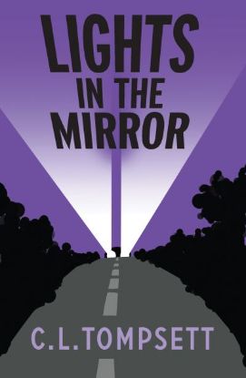 Picture of Lights in the Mirror(Barrington Stokes)