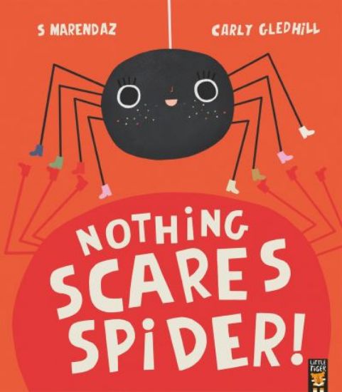 Picture of Nothing Scares Spider 
