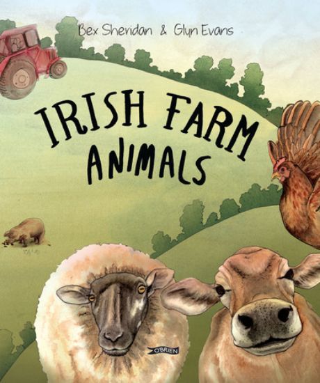 Picture of Irish Farm Animals From Feathered Friends To Mighty Muckers