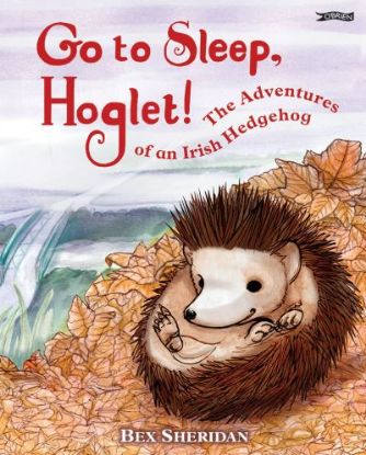 Picture of Go To Sleep Hoglet 