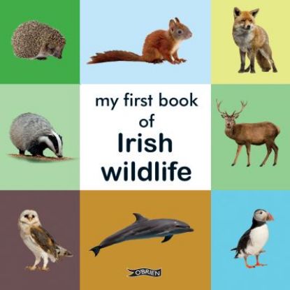 Picture of My First Book of Irish Wildlife Board Book