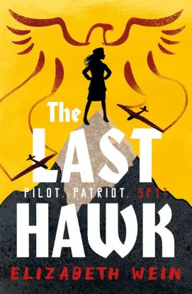 Picture of Last Hawk(Barrinton Stokes Ed)