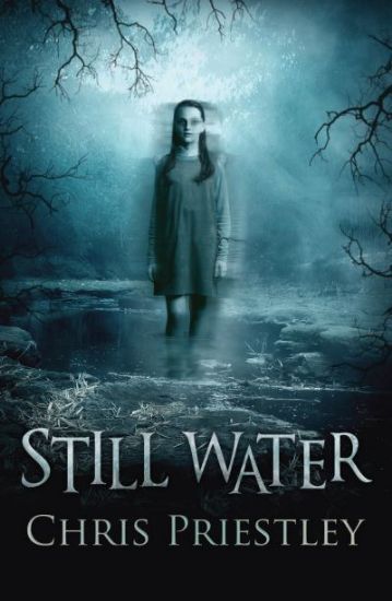 Picture of Still Water(Barrington Stokes)