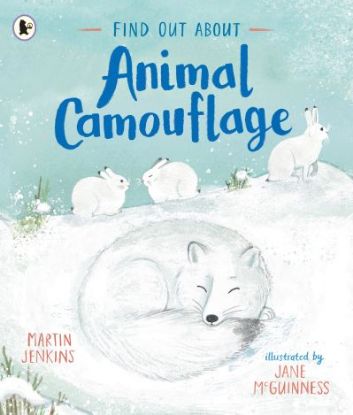 Picture of Find Out About Animal Camouflage 