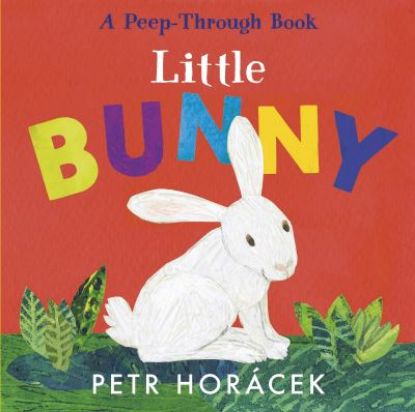 Picture of Little Bunny Board Book
