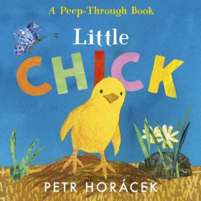 Picture of Little Chick Board Book