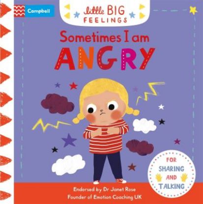 Picture of Sometimes I Am Angry Board Book