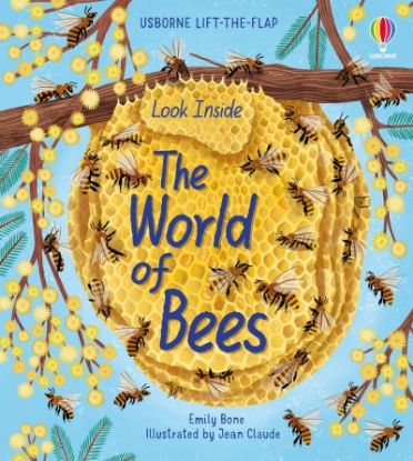 Picture of Look Inside The World Of Bees Board Book