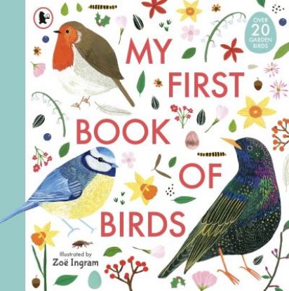 Picture of My First Book Of Birds 