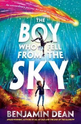 Picture of Boy Who Fell From The Sky 