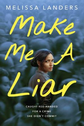 Picture of Make Me A Liar 