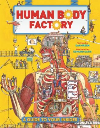 Picture of Human Body Factory 